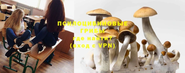 прущая мука Абаза